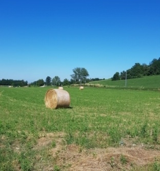Le colline sulla ciclabile: 