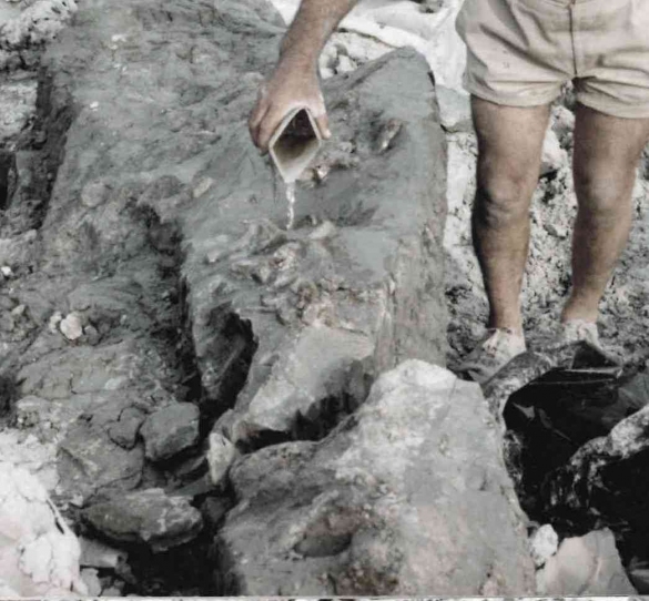 Campore- Luglio 1992: Cava di laterlizi: ritrovamento resti fossili delfino Alessandro