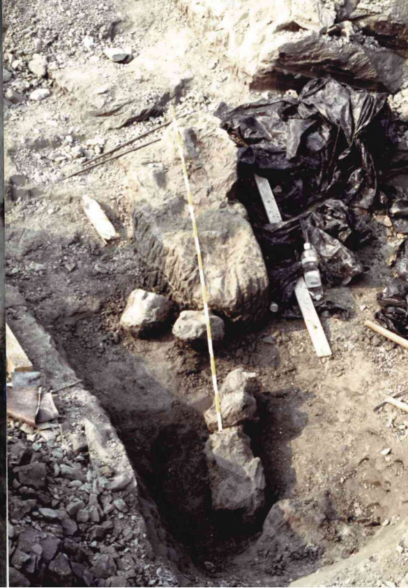 Campore - Luglio 1992: Ritrovamento fossili del cetaceo Matilda (balena)