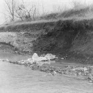 Torrente Stirone - anno 1987