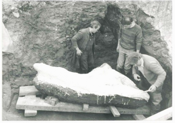 Torrente Stirone - marzo 1987: Lavori di sbancamento per il recupero del cetaceo fossile