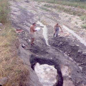 Torrente Stirone - Lavori di recupero del cetaceo fossile