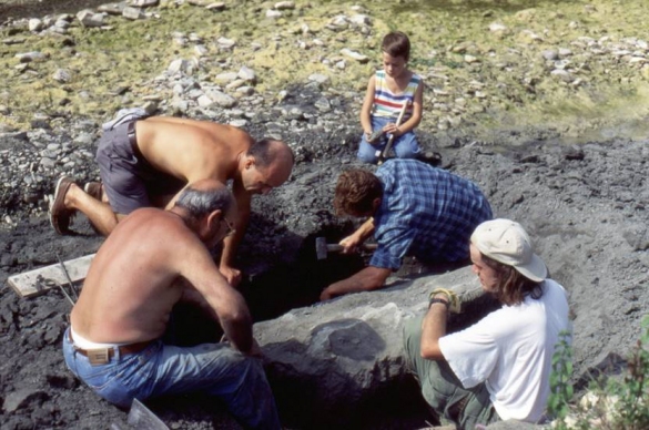 Scavi per il recupero di reperti fosssili: foto di Gianluca Raineri