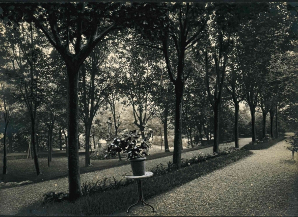 Vecchia Salso - Collezione Fotografica Digitale Famiglia Marzaroli: Primi del Novecento - Il giardino del Grand Hotel des Thermes