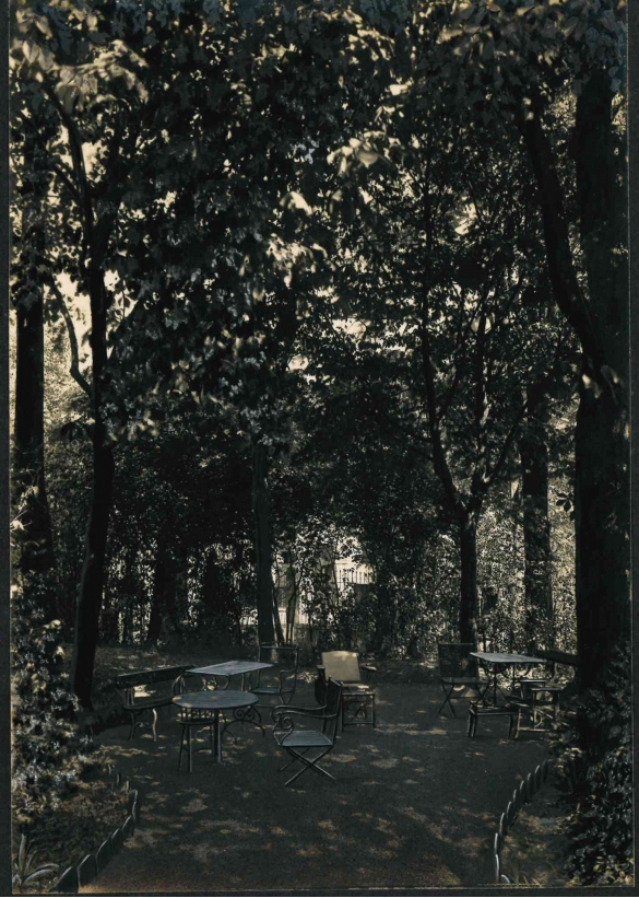 Vecchia Salso - Collezione Fotografica Digitale Famiglia Marzaroli: Primi del Novecento – Albergo Grande Detraz: albertaure nel grande parco privato