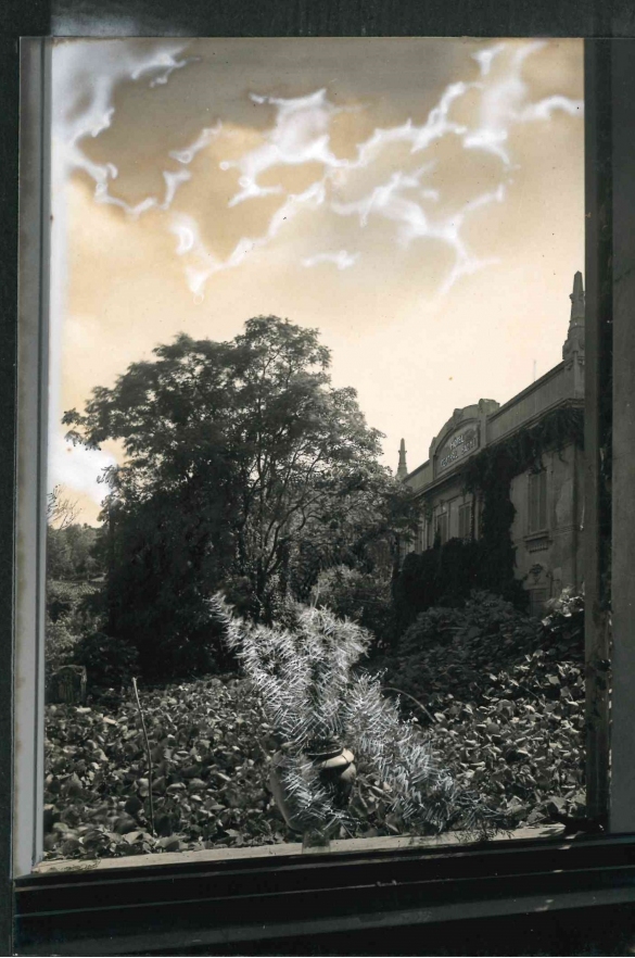 Vecchia Salso - Collezione Fotografica Digitale Famiglia Marzaroli: Primi del Novecento – Grande Albergo Centrale Bagni, vist<a sul giardino