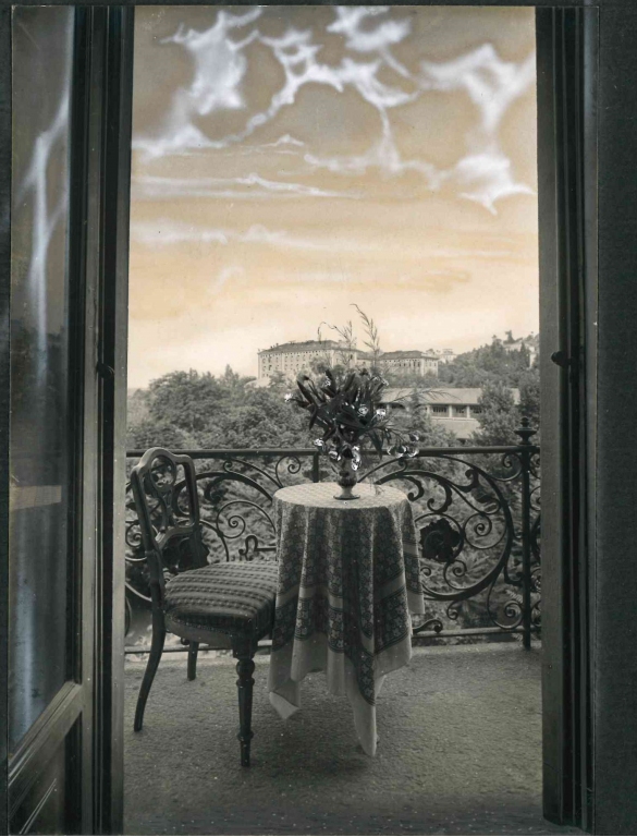 Vecchia Salso - Collezione Fotografica Digitale Famiglia Marzaroli: Primi del Novecento – Grande Albergo Milano, scorcio sul giardino