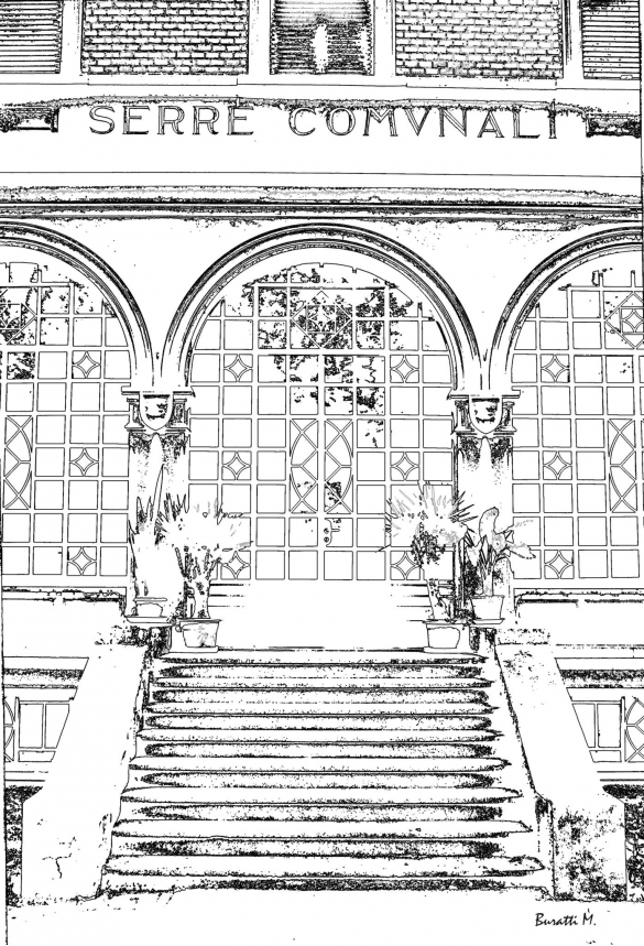 Serre Comunali: Le vetrate delle storiche serre in uno scatto trasformato in undisegno a matita (autore Marcello Buratti)