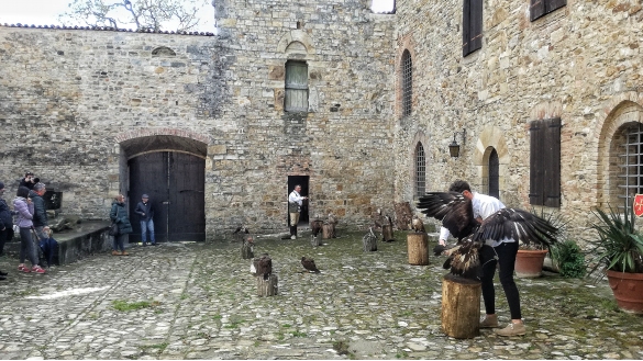Castello di Contignaco - Fortezza degli Aldighieri: Evento di falconeria tra le mura del castello
