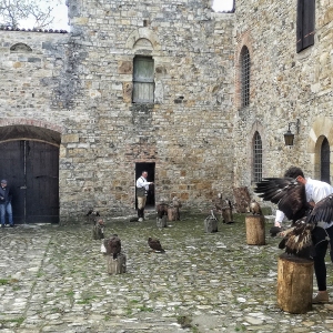 Castello di Contignaco - Fortezza degli Aldighieri