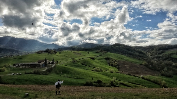 Castello di Contignaco - Fortezza degli Aldighieri: Evento di falconeria