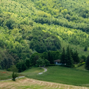 Azienda Agricola Gavinell