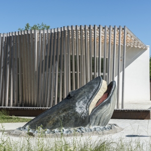 MuMAB - Museo Mare Antico e Biodiversità: Il museo è situato a San Nicomede nell'area naturalistica del parco regionale nella val Stirone