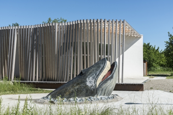 MuMAB - Museo Mare Antico e Biodiversità: 
