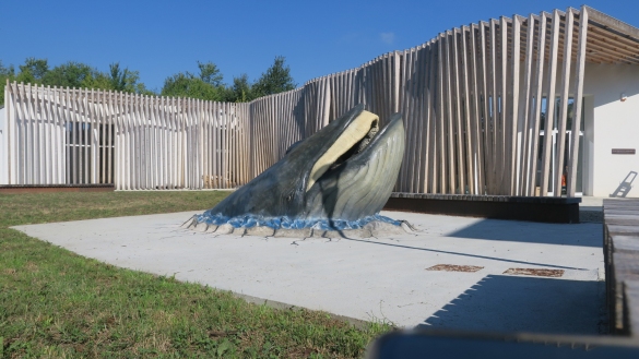 MuMAB - Museo Mare Antico e Biodiversità: 