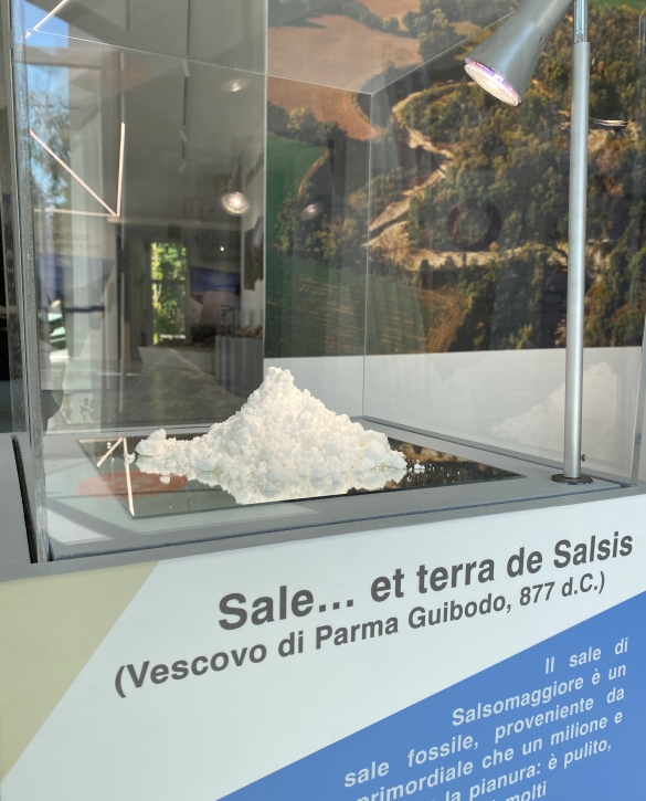 MuMAB - Museo Mare Antico e Biodiversità: 
