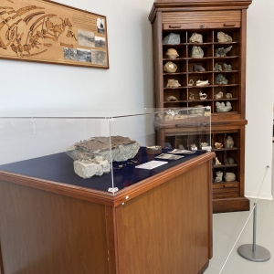 MuMAB - Museo Mare Antico e Biodiversità: 