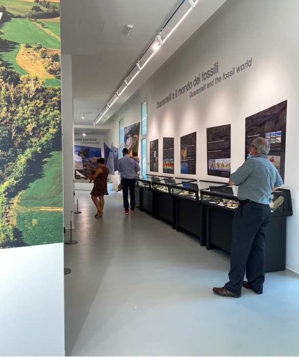 MuMAB - Museo Mare Antico e Biodiversità: 