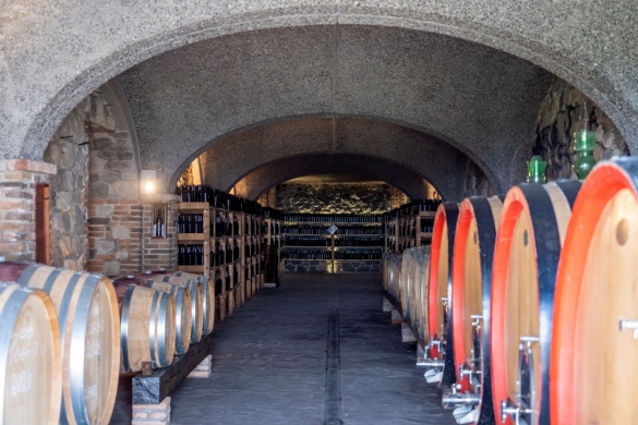 Tenuta Il Poggio - La cantina: Foto Lorenzo Moreni