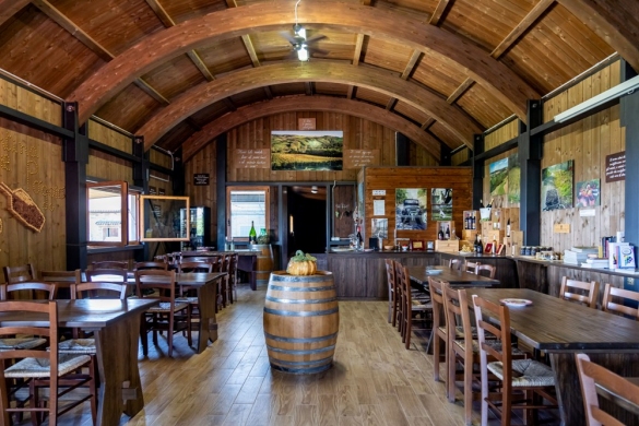 Tenuta il Poggio: Foto Lorenzo Moreni