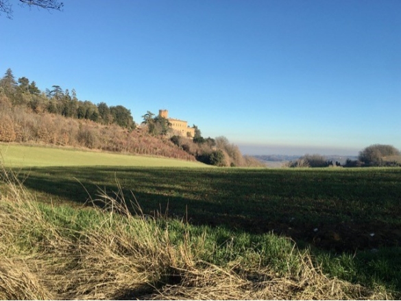 Le Colline salsesi con il castello di Tabiano: 