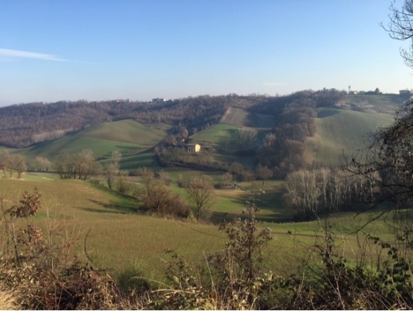 Panorama collinare - Salsominore: 