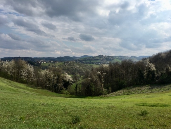 Paesaggio collinare: 