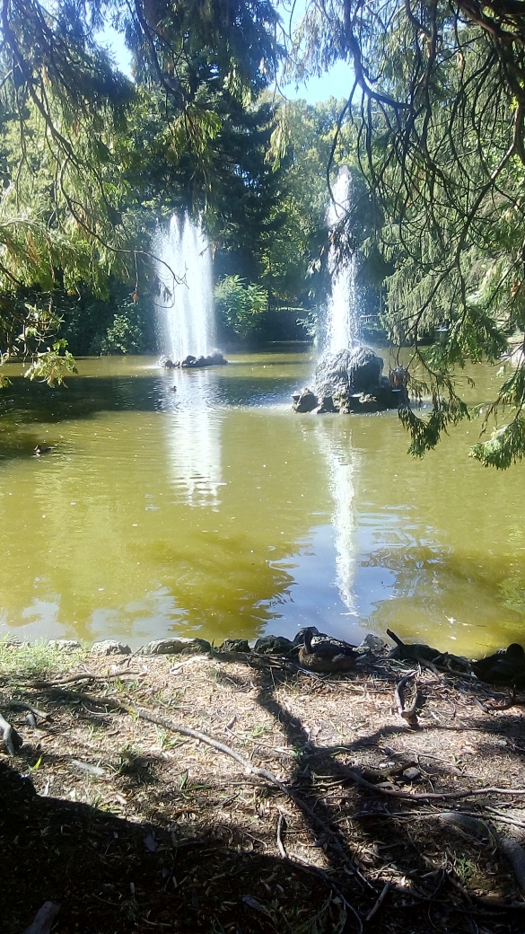 Particolare del laghetto in parco Mazzini: 