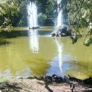 Particolare del laghetto in parco Mazzini
