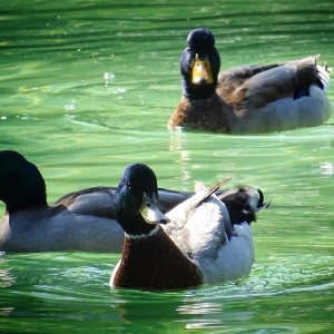 bb22d24c-6cf9-455a-9d5f-203c9a30a3a7