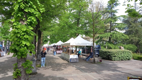 San Vitale 2025: Rassegna espositiva 