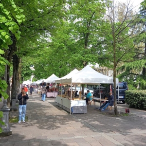 San Vitale 2025: Rassegna espositiva 