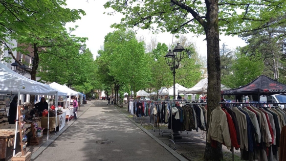 San Vitale 2025: Rassegna espositiva 