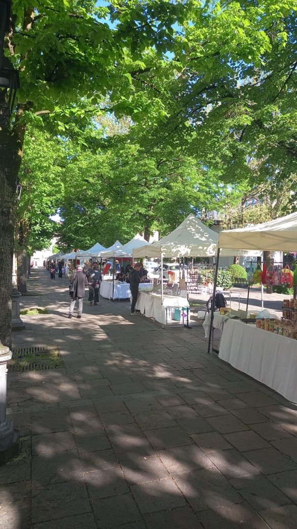 San Vitale 2025: Rassegna espositiva 