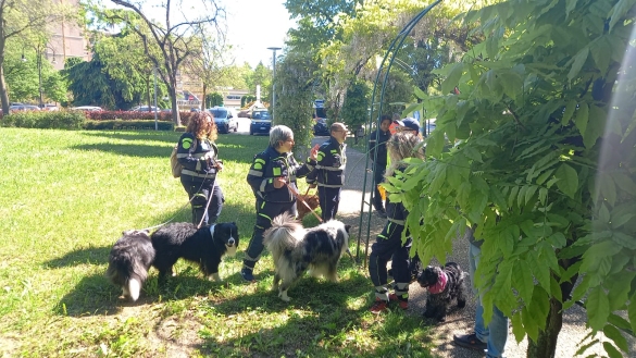 San Vitale 2025: “L’impegno di tanti per la tutela di tutti”. Esercitazioni e simulazioni