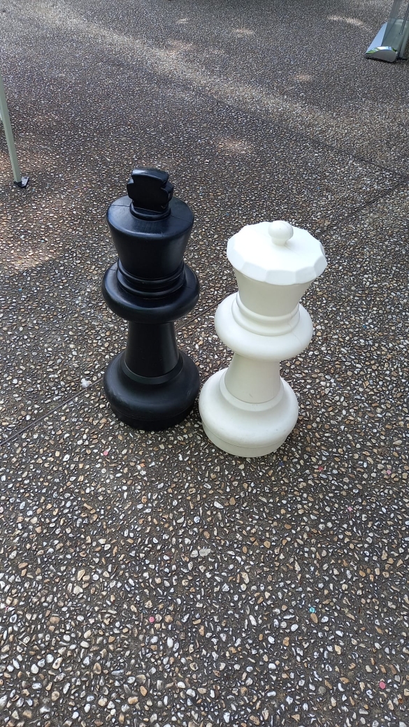 San Vitale 2025: Giocando per San Vitale