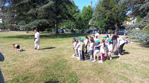 Sport City School Day 2025: Giornata dedicata alle scuole di Salsomaggiore per provare le diverse discipline sportive
