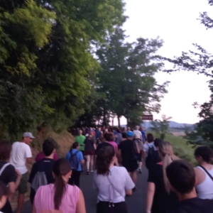 c09025e9-4d38-48c7-bef6-760e429df4be