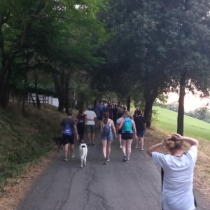 275193f3-3010-4622-959f-e0be6edfb899