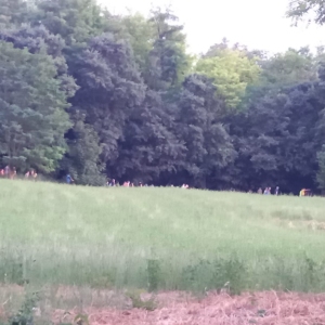 22243f9d-89bb-44cb-964c-394ae3158052