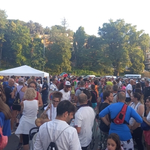 8d7297b8-4b15-49b9-b566-a6c496e9da3a