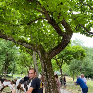 e31ca128-de20-436c-956b-f1af28d28979