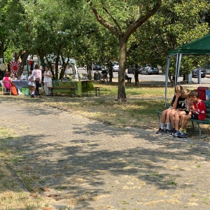 7538245f-2b4b-45cd-b4d8-0fef0b930ead