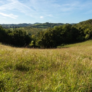 dsc09346