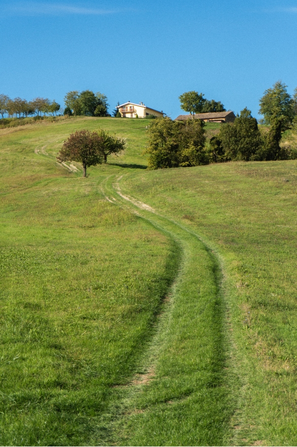 Primi Colori D'autunno: Foto scattate nello scorso weekend a Salsomaggiore, in collina, sulla strada verso Scipione 