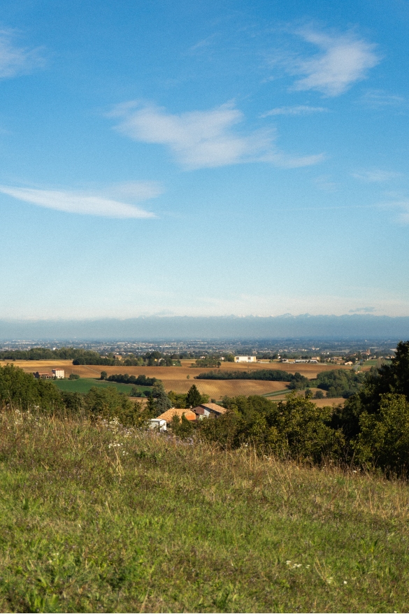 Primi Colori D'autunno: Foto scattate nello scorso weekend a Salsomaggiore, in collina, sulla strada verso Scipione 
