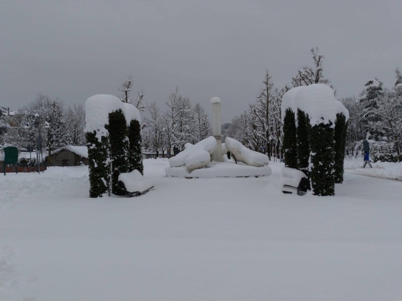 Monumento alla Resistenza : Nevicata 2020 -  